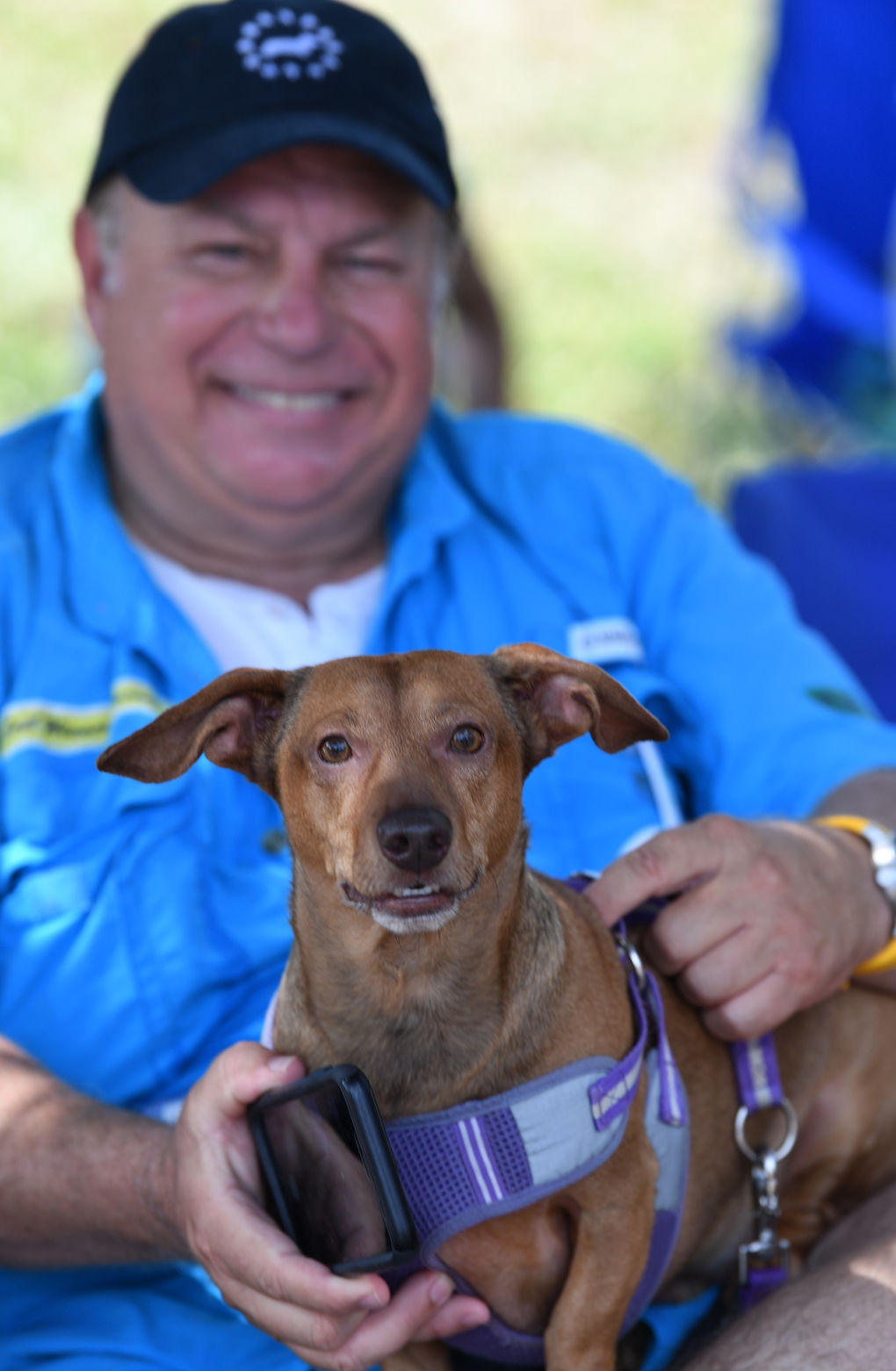 Wienerfest
